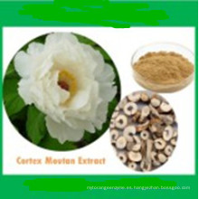 Aceite esencial 100% natural de la raíz de la angélica (Ngelicaarchangelica) CAS: 8015-64-3